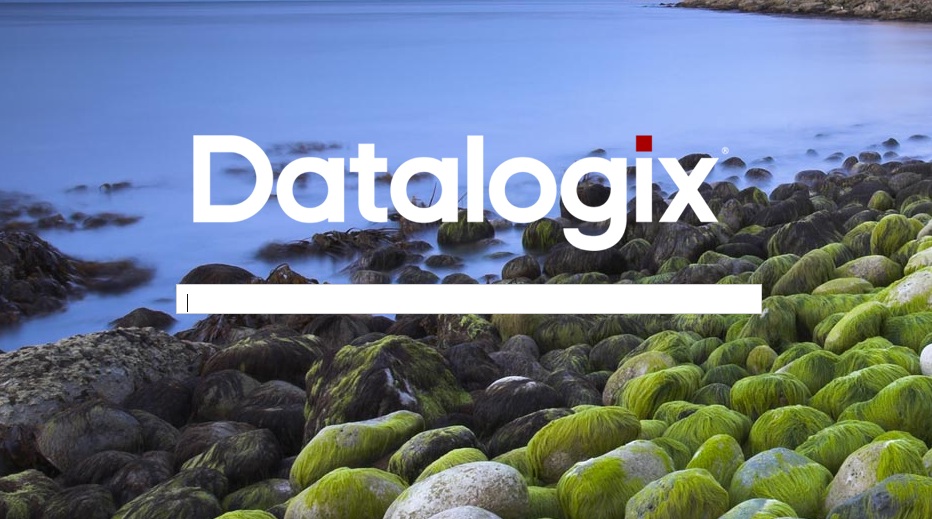 Google Datalogix Search Tools