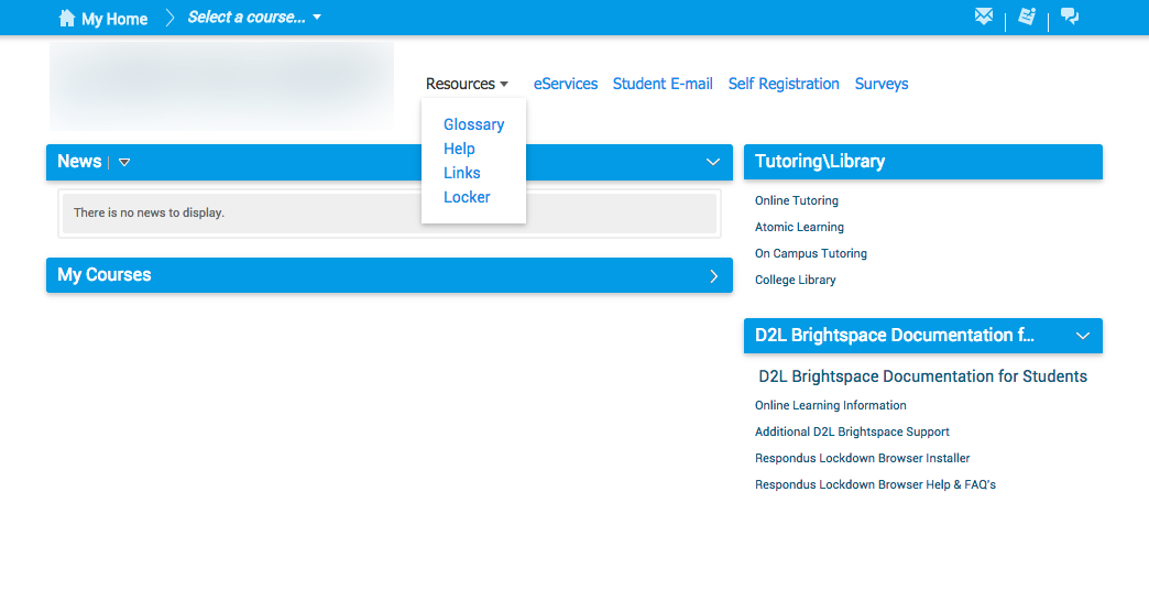 D2L Brightspace Material Design