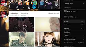 VIXX Voodoo Doll Era Tumblr Dash Icons