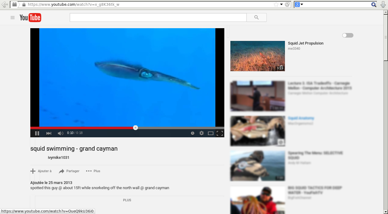 Youtube Minimal Grey