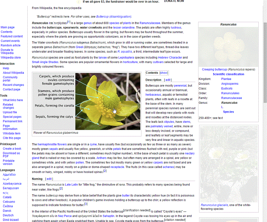 Squeaky Clean Wiki
