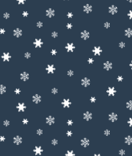 inside.tensor.ru - accordion snow