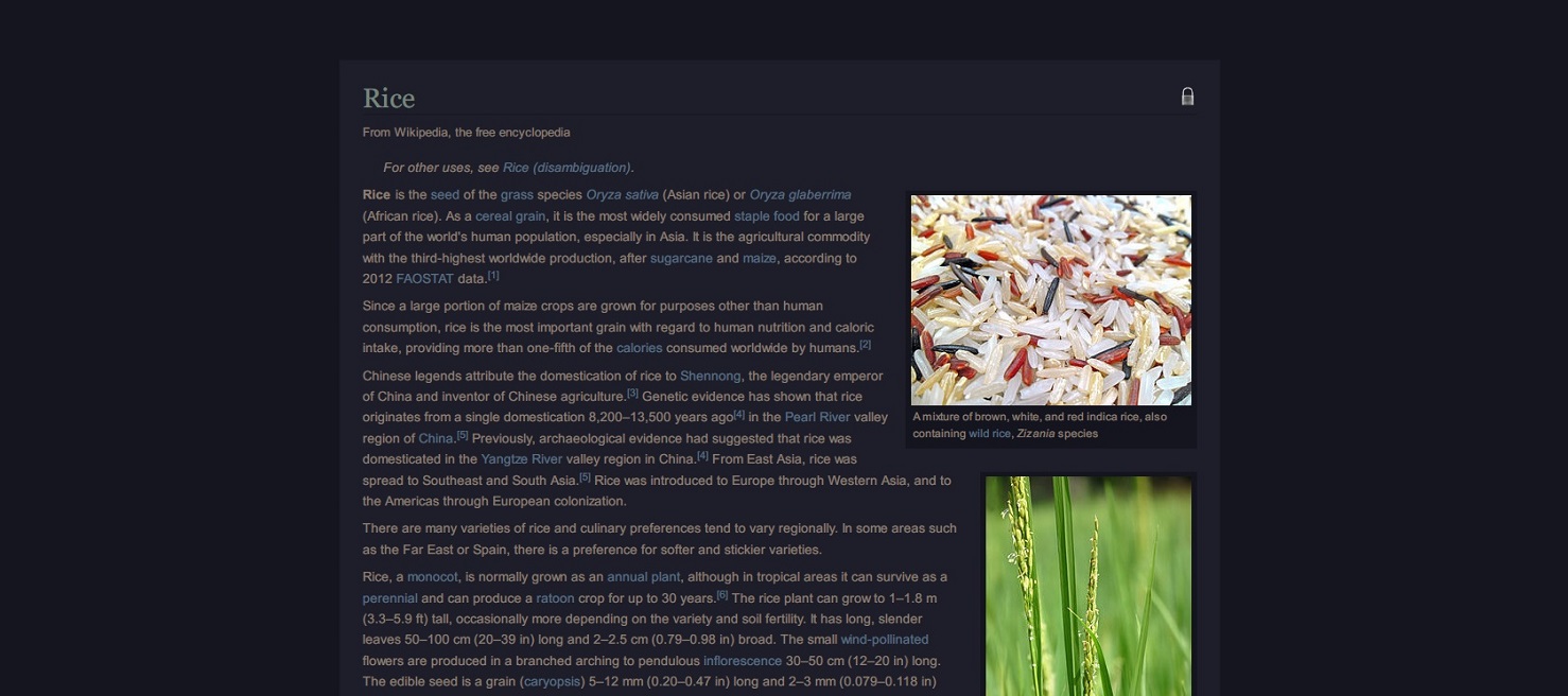Nocturnal Wiki Theme