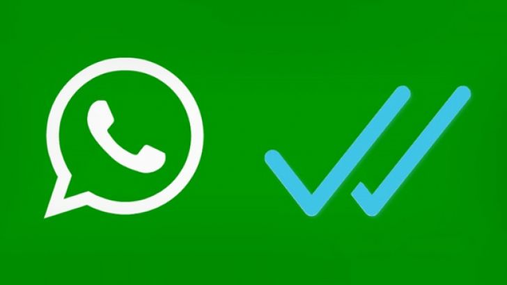 Whatsapp Open Sans
