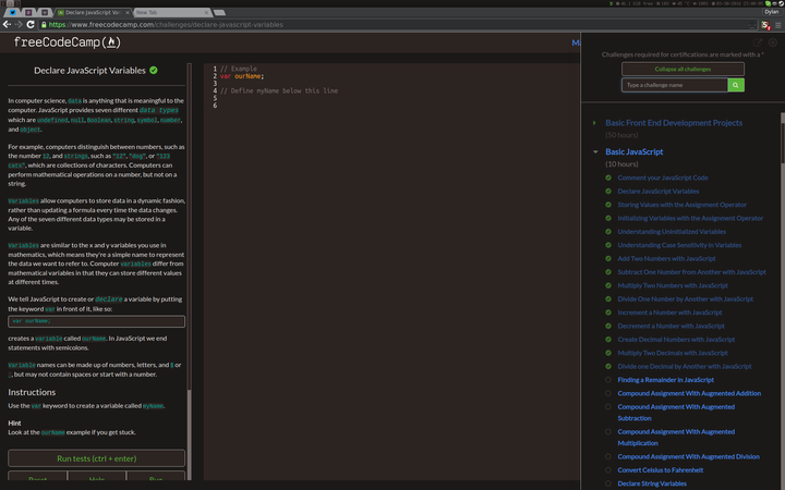 FreeCodeCamp - base16 Atelier Forest Dark theme