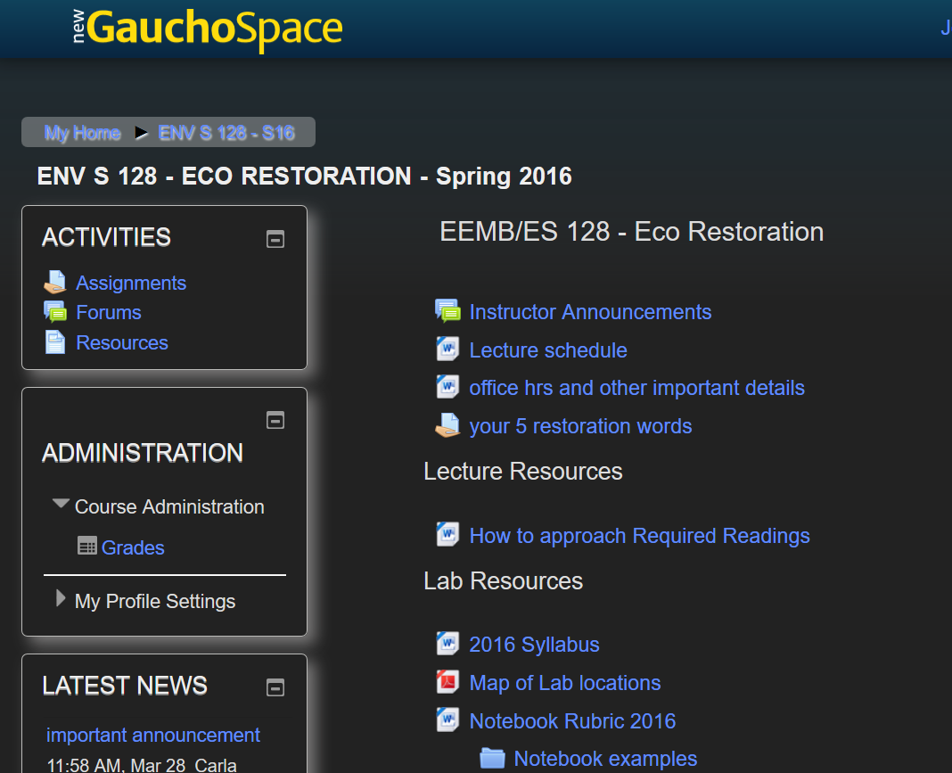 Dark GauchoSpace