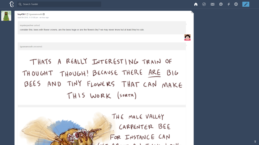 Tumblr - Remove Fullwidth Images & Videos