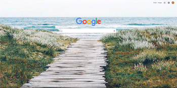 Google Variety
