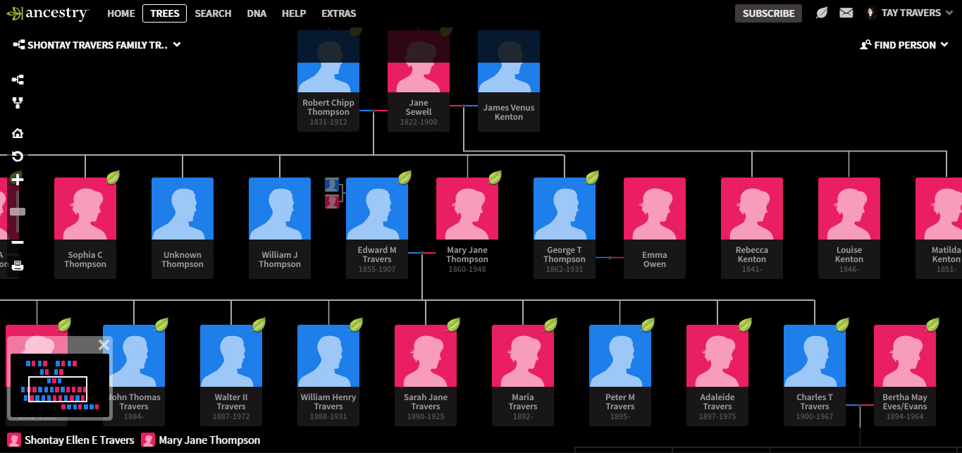 † Midnight | Ancestry Tree Dark Theme †
