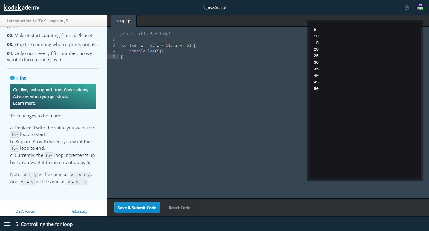 Codecademy long console