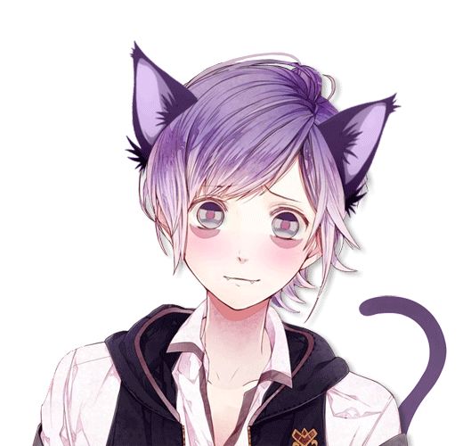 Amor doce tema : kanato