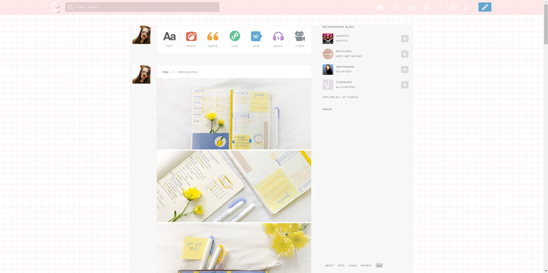 White Box Pink Grid Tumblr Theme