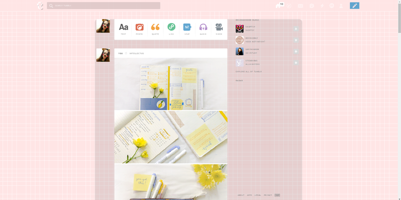 Pink Box White Grid Tumblr Theme