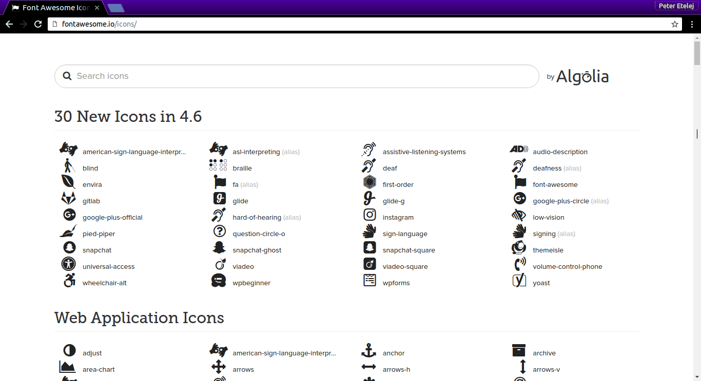 fontawesome icon search (Clean UI)