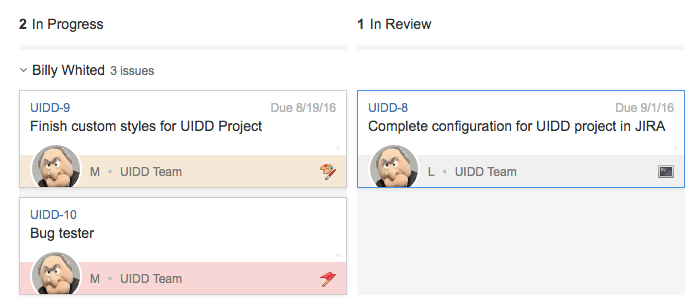 Ameriprise JIRA Issue Redesign