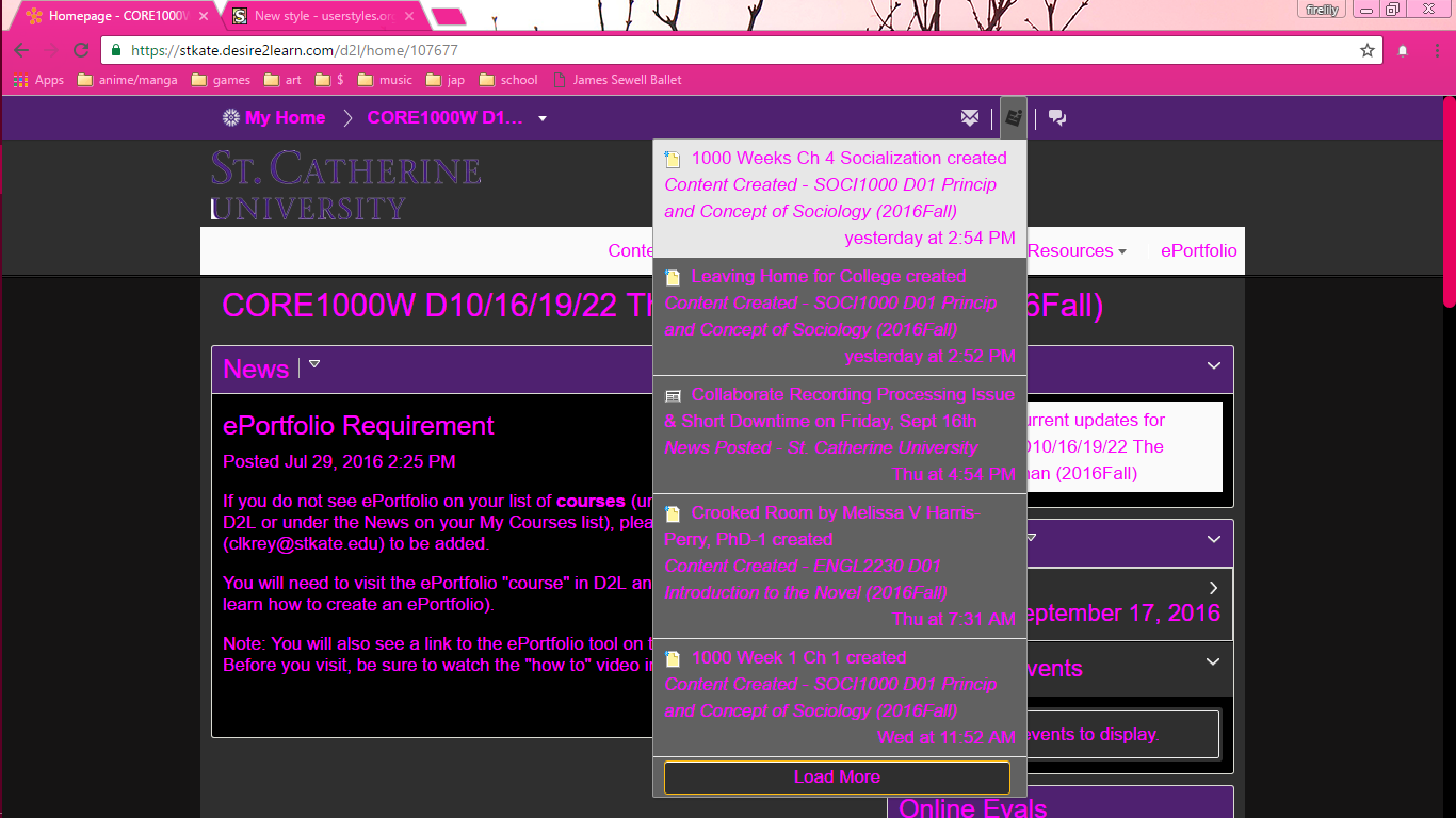 pink, purple, black--St.Kate D2L