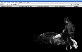 about:blank - Firefox [Kara Kartal Besiktas]