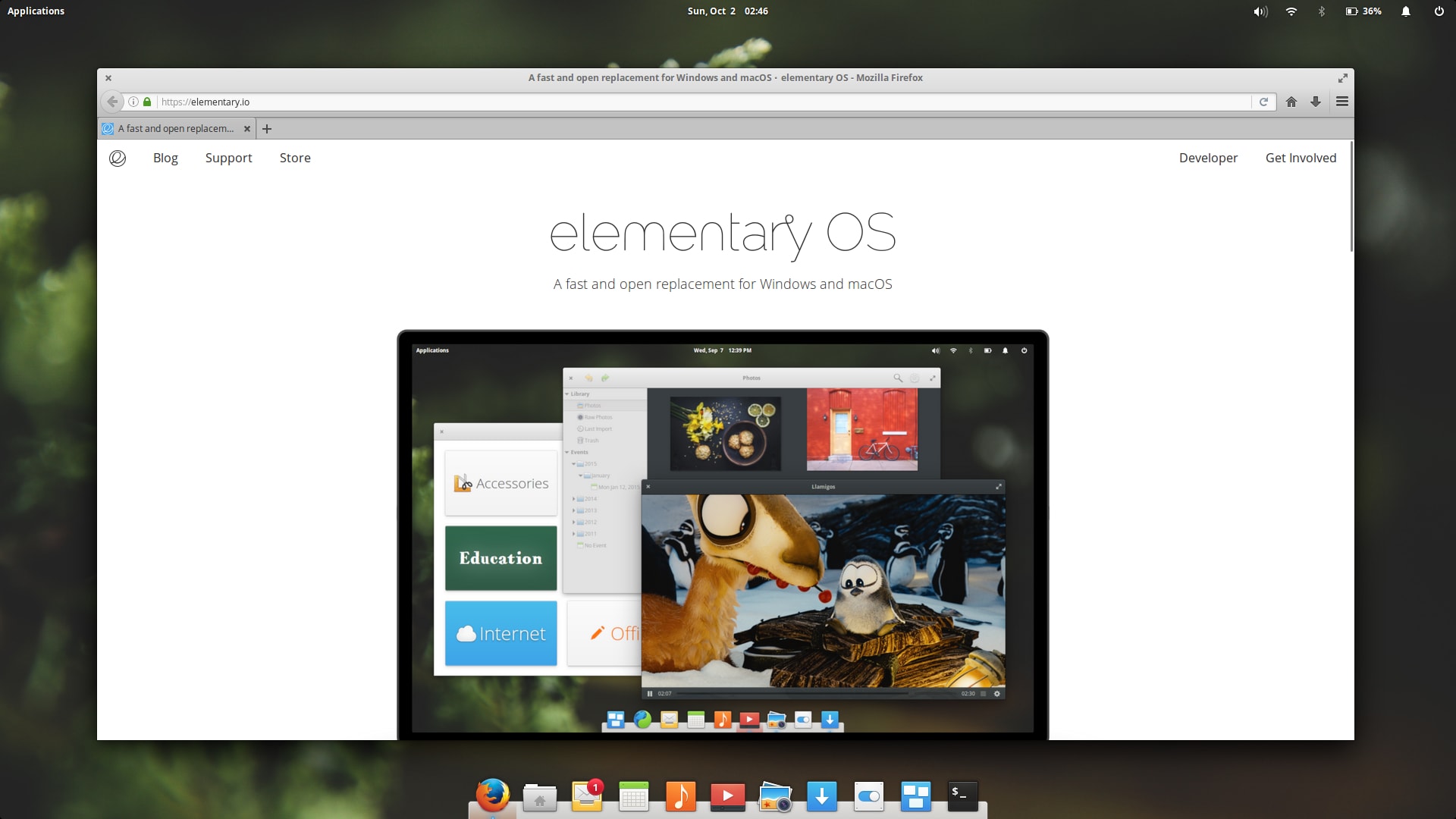 elementaryOS GTK+ theme