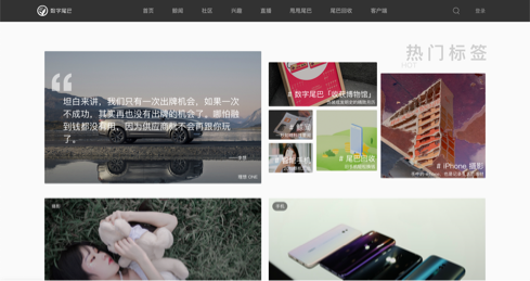 数字尾巴dgtle 单栏模式