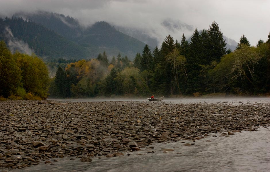 forks