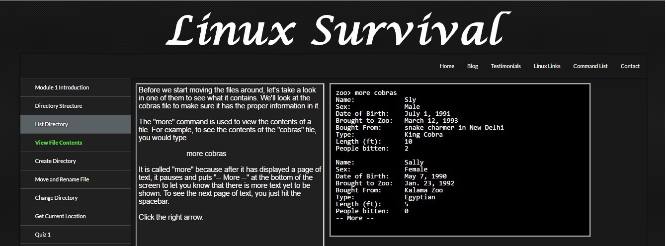 Dark linux survival