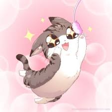 amor doce cats!!