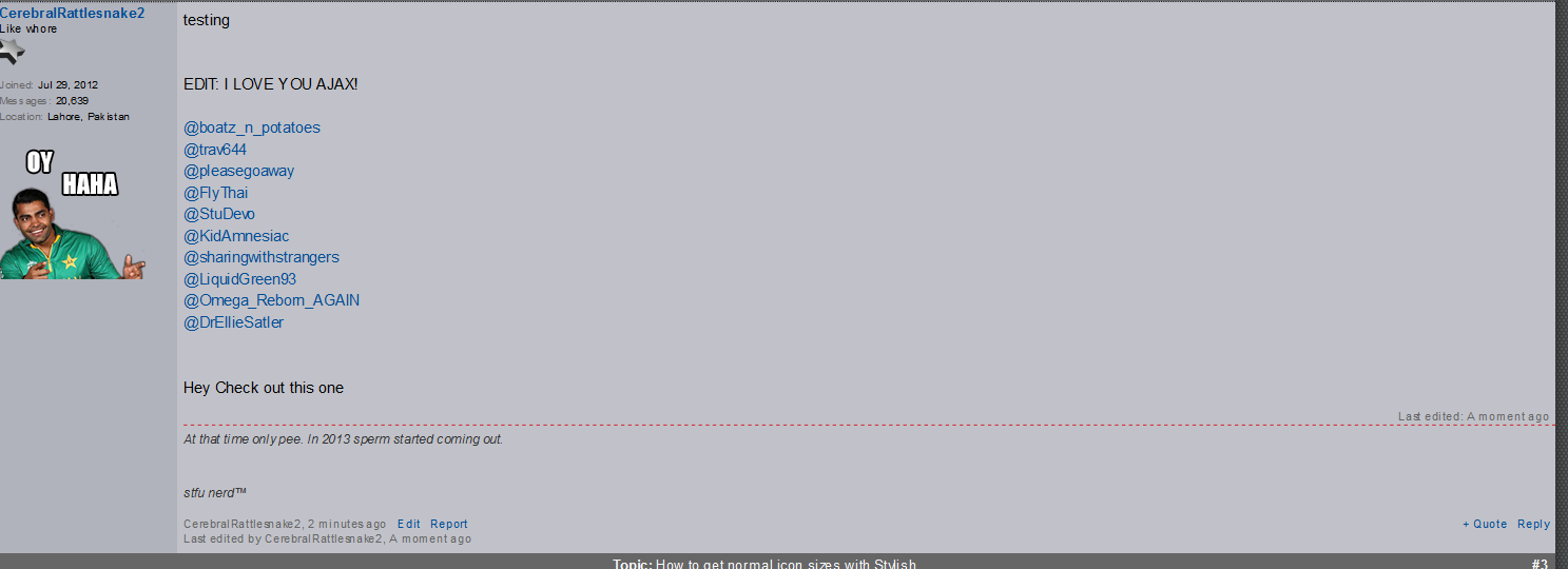 IGN Boards Icon Size Fix
