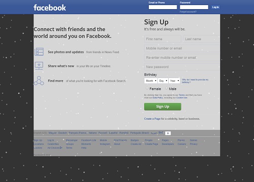Facebook Snow