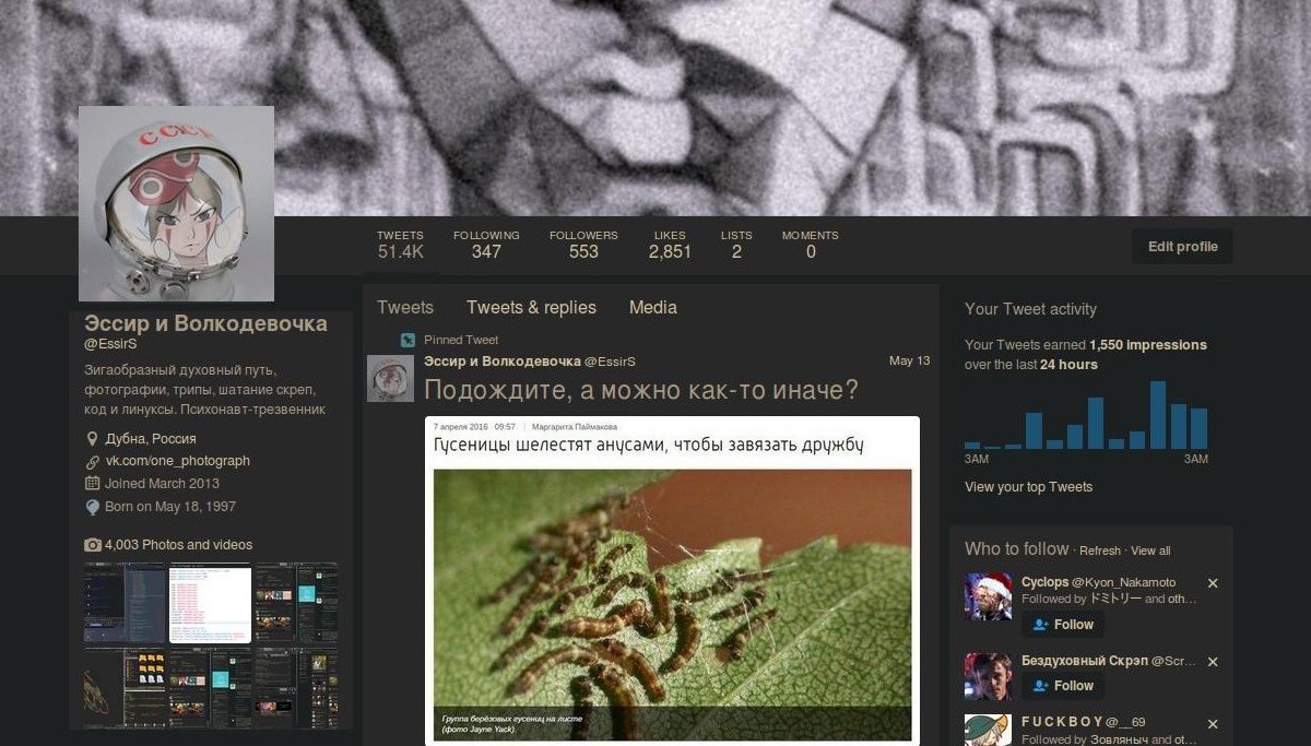 Twitter gruvbox