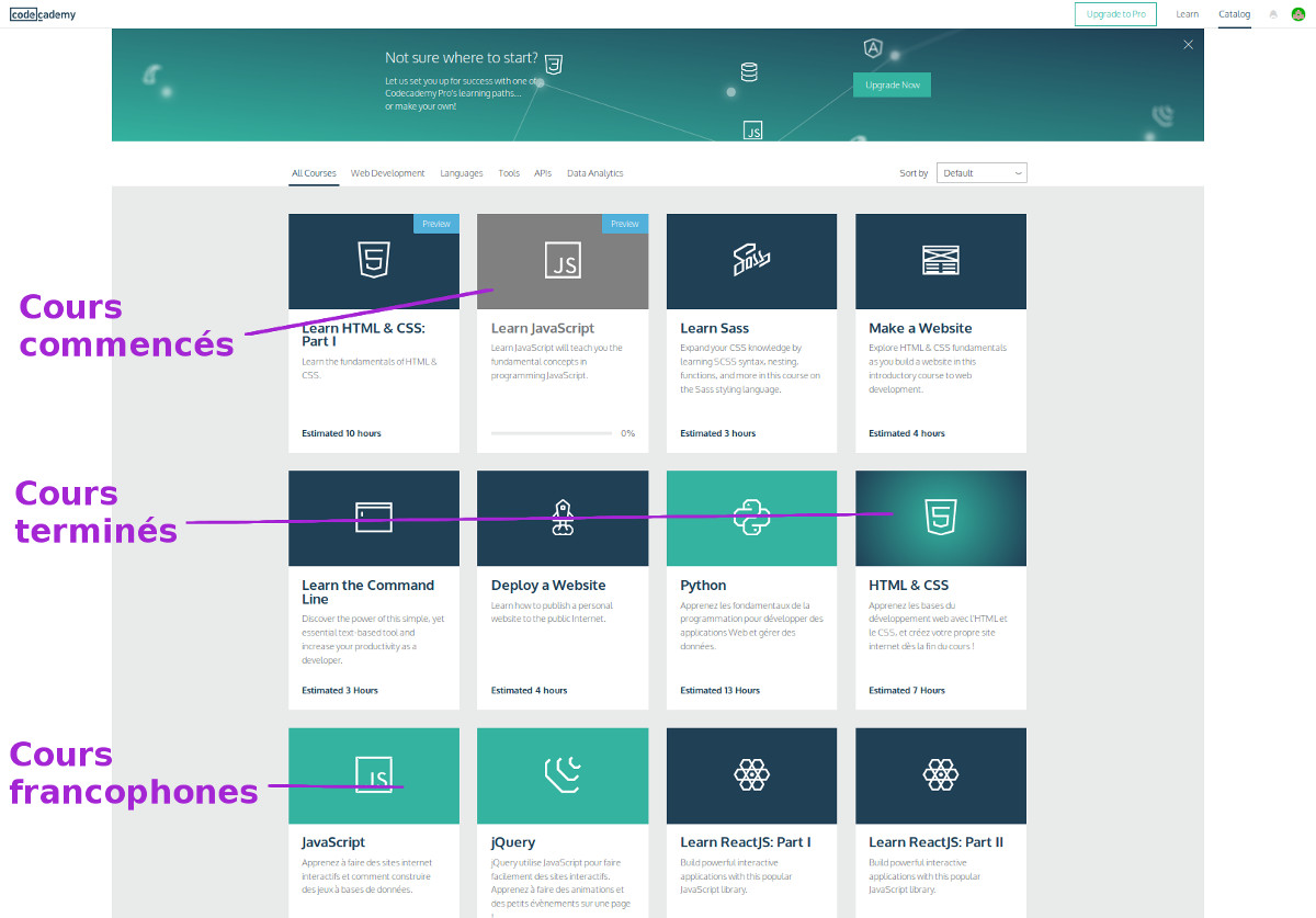 Codecademy - [outil]Catalogue visuel