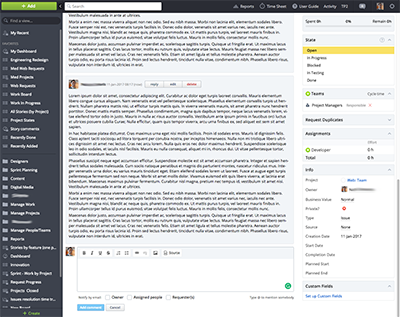 Target Process 3 - Static info column