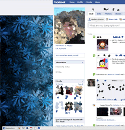 Facebook - WEEDbook / pot leaves