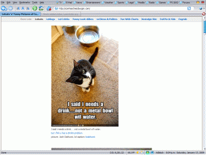 icanhascheezburger (lolcats) cleaner