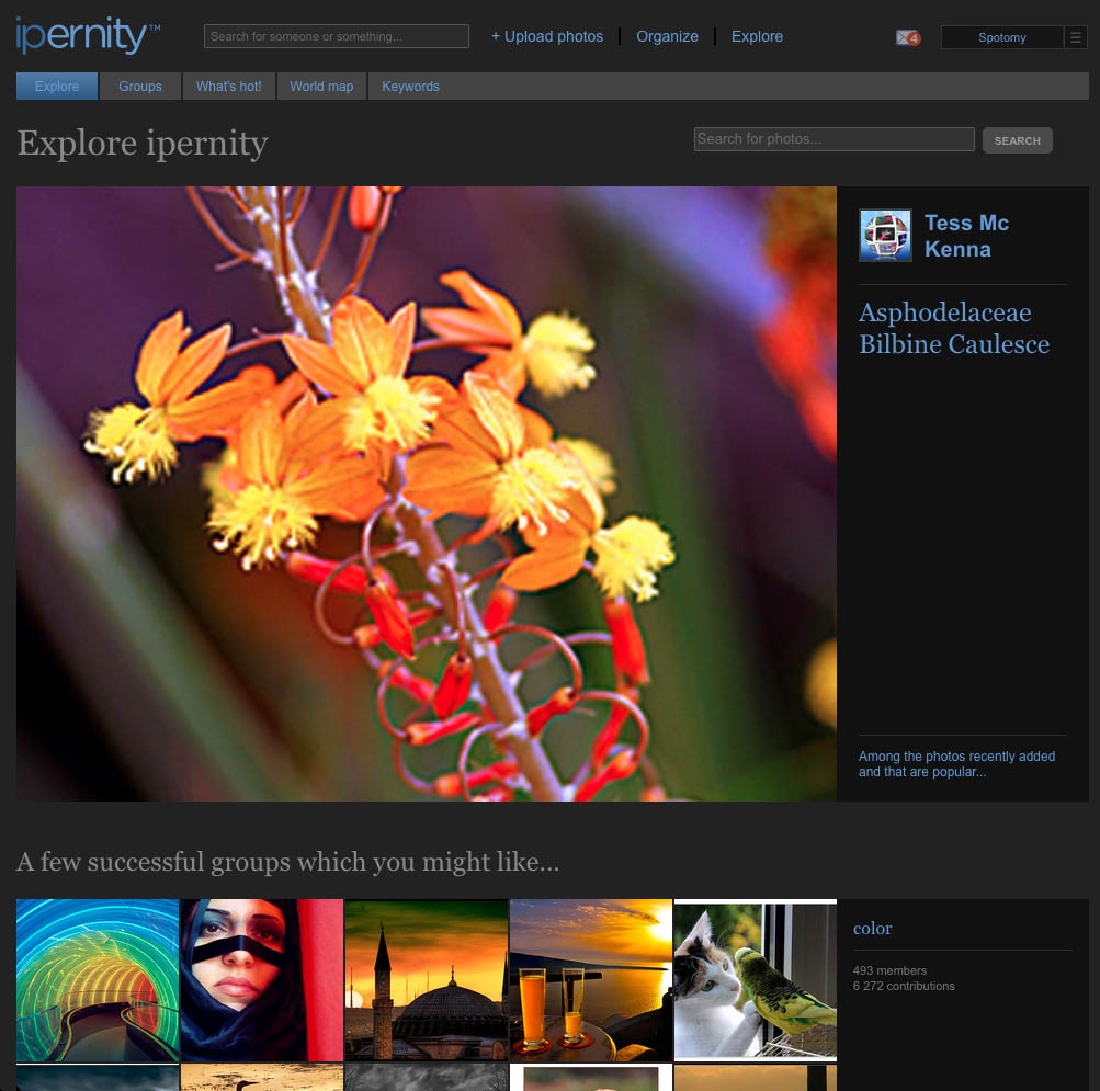 Neutral Dark Gray for Ipernity, Part 2/2