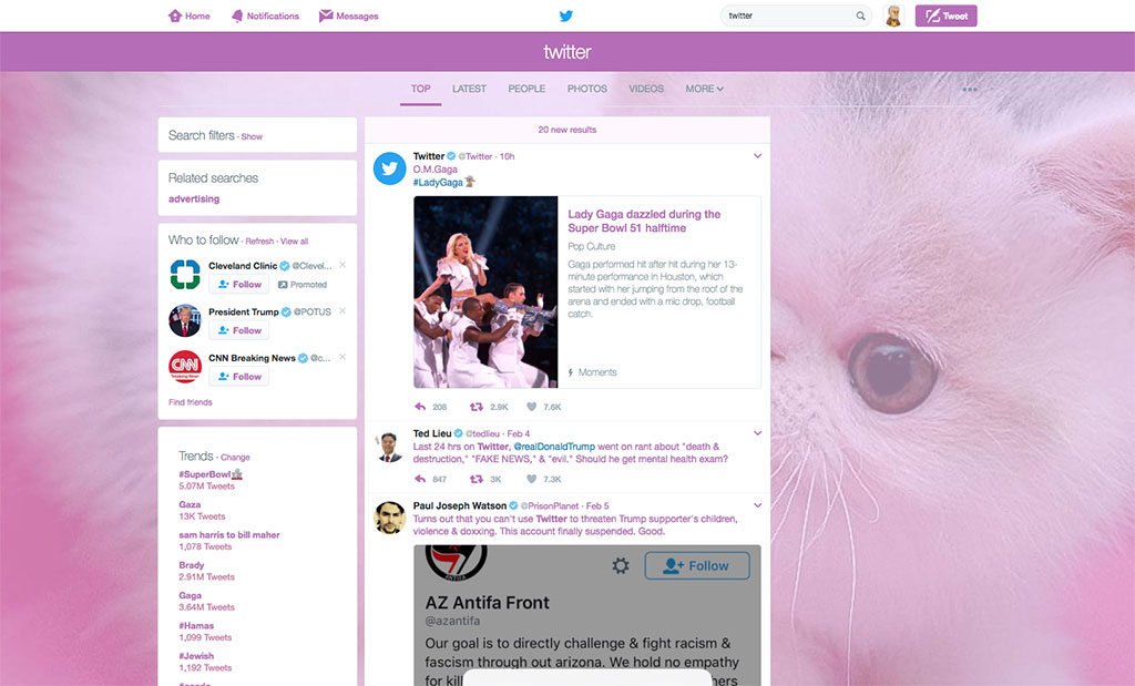 Pink Persian Cat Twitter Theme