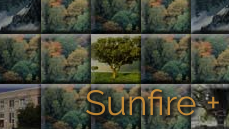 Freewar Sunfire+