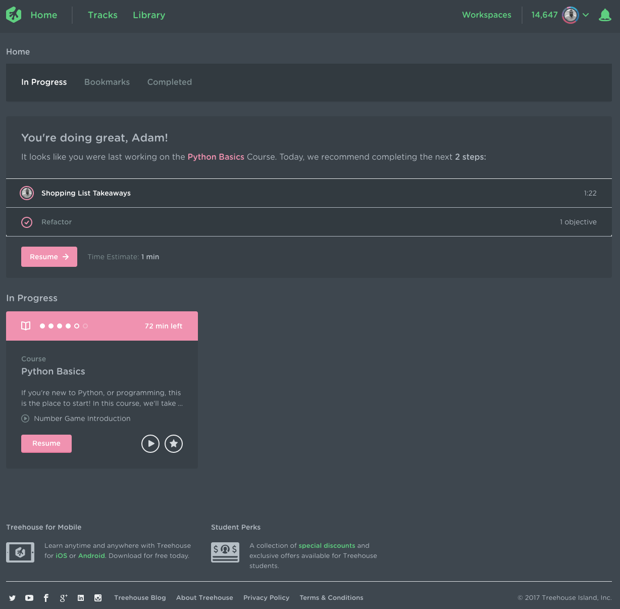 Treehouse Dark Theme