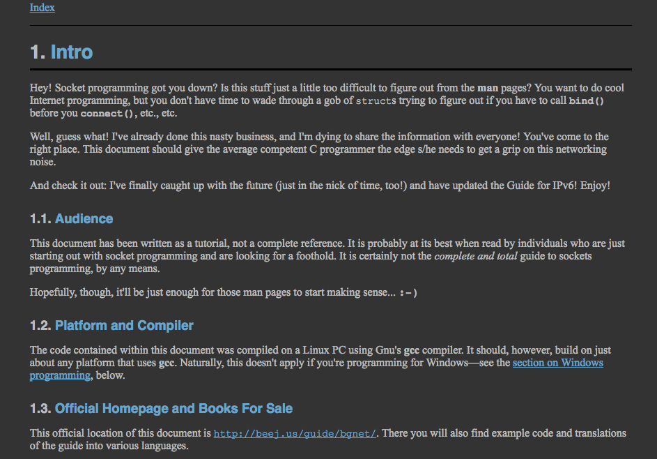 Dark Beej's Guide to Network Programming