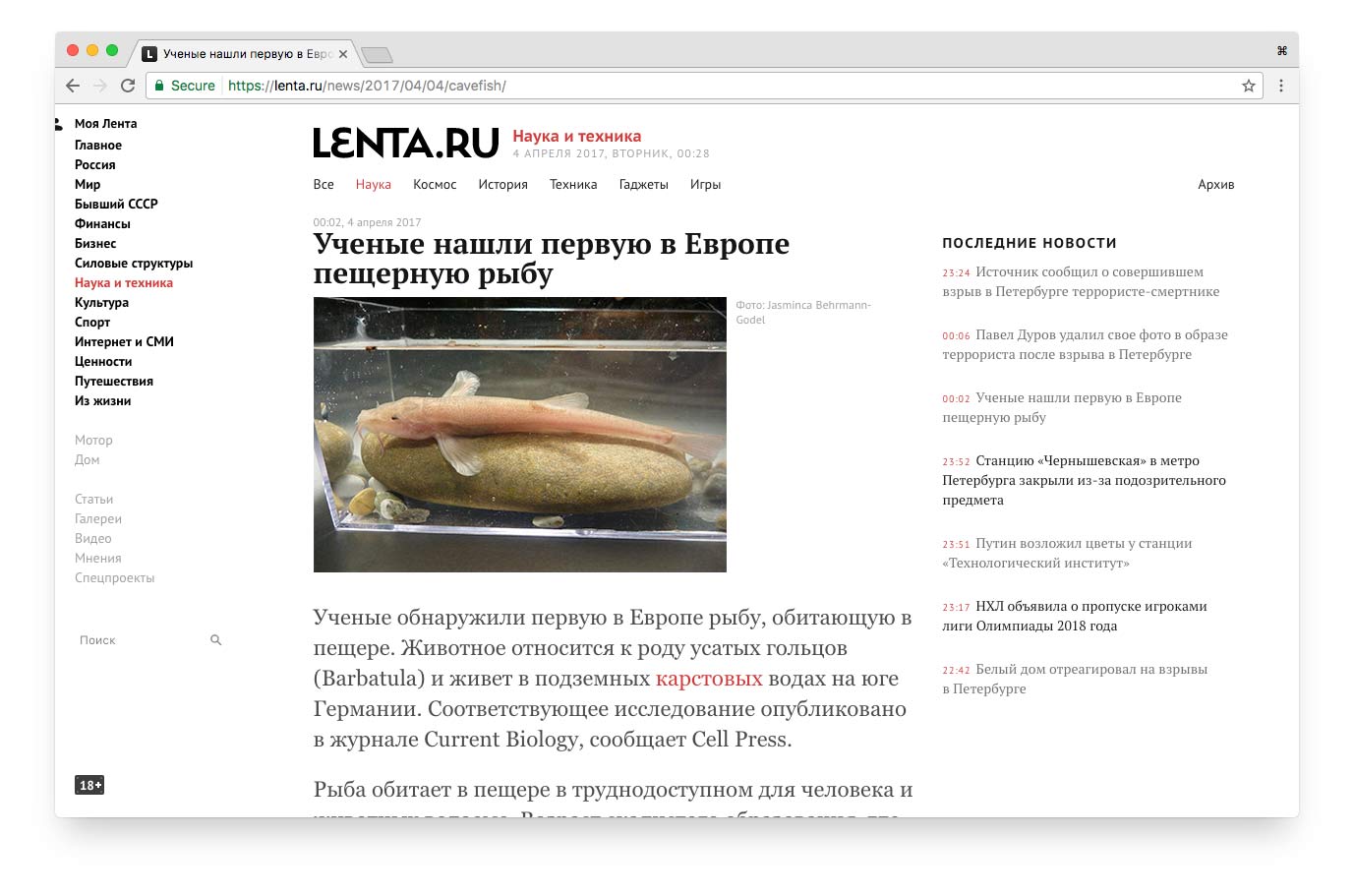 cleanwhite | lenta.ru