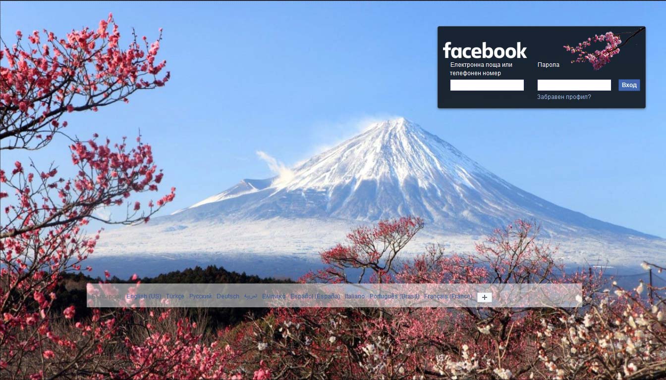 Fuji Mountain Blossom - Facebook JP
