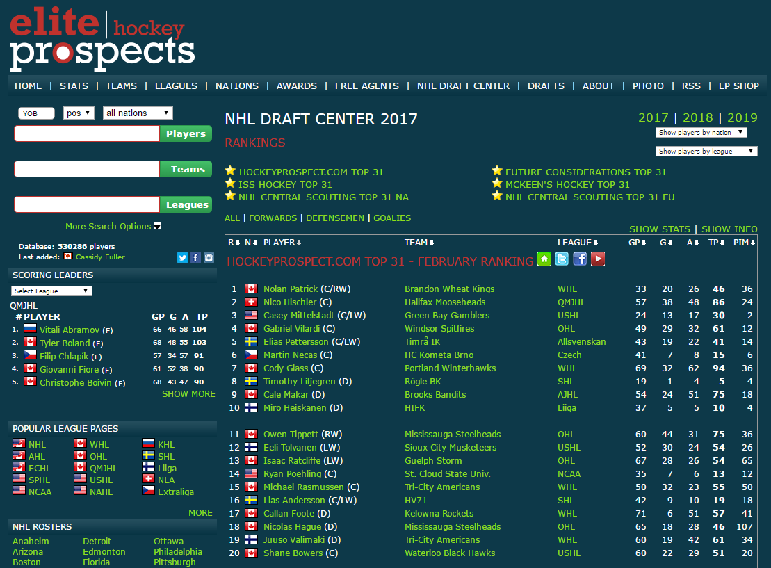 Elite Hockey Prospects Night Mode