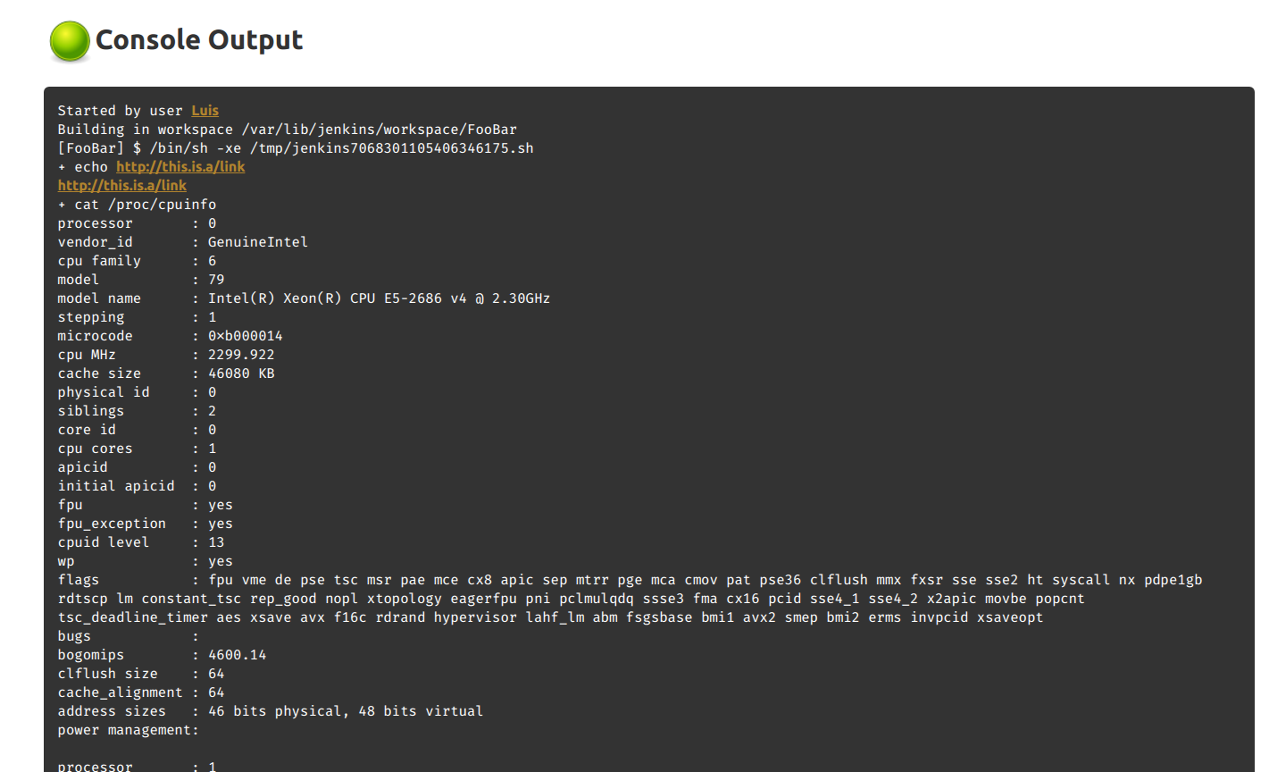 Jenkins Console Output