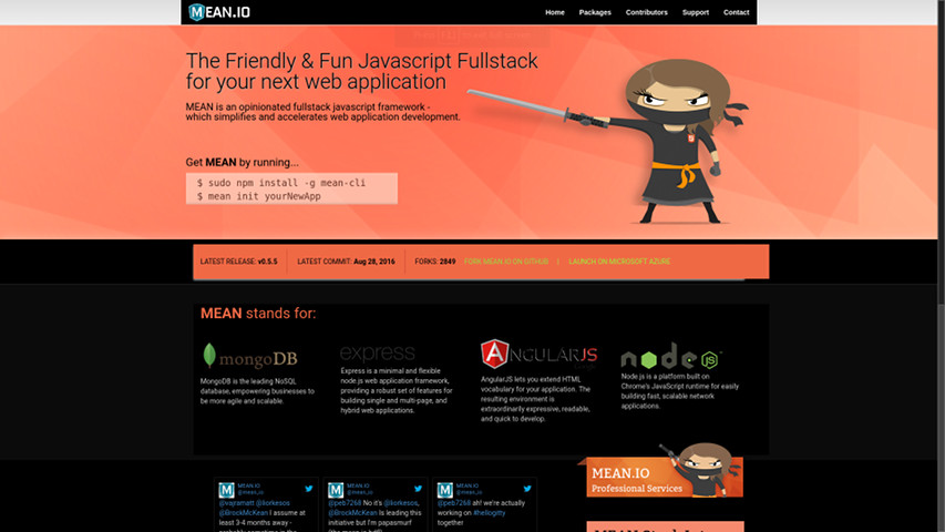 MeanIO Page Dark