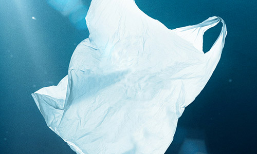 Plastic Bag | Brick-Hill