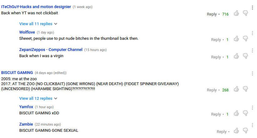 Youtube 2008 Comment Section