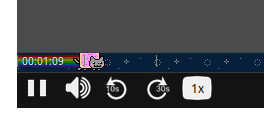 Nyan cat minerva