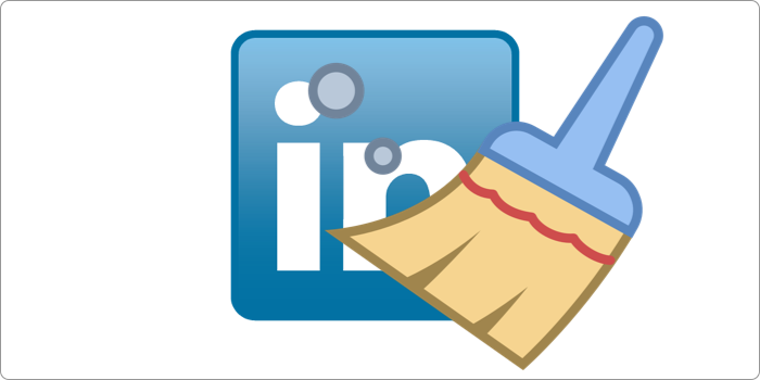 LinkedIn CleanedUp