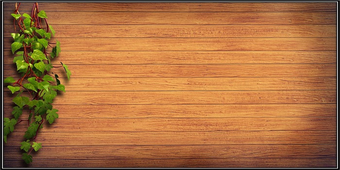 Wooden Theme