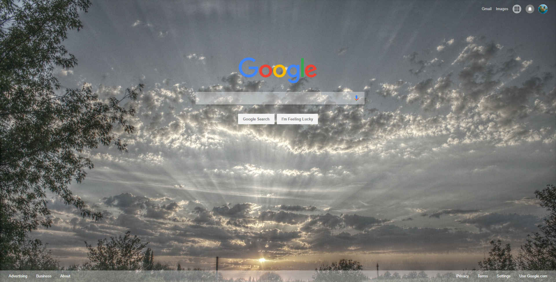 Google Customiser with slideshow background