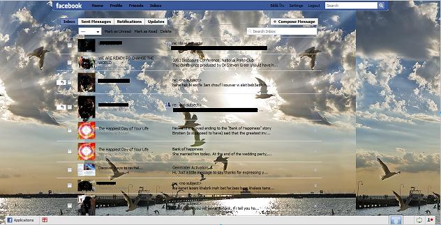 New Facebook - Enlightening theme -